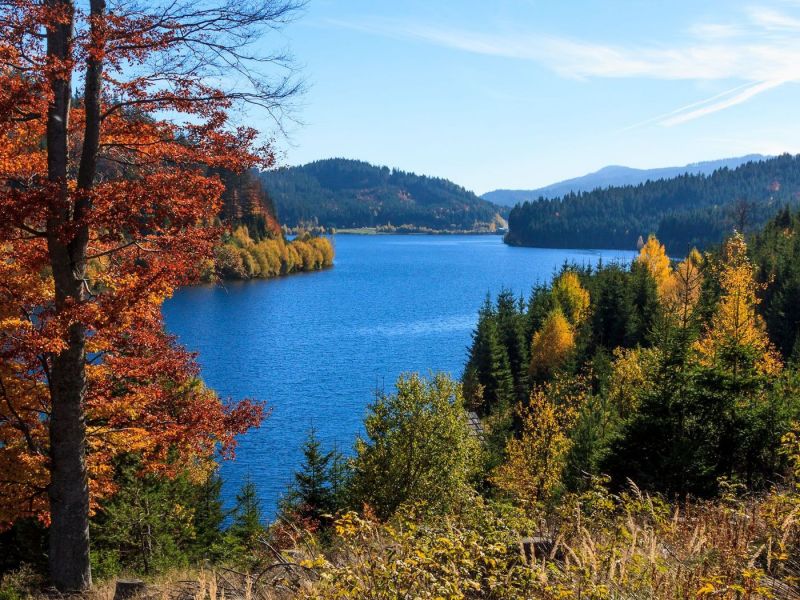 20121021 2785 ergebnis verkleinert 20121021 2785 ergebnis verkleinert