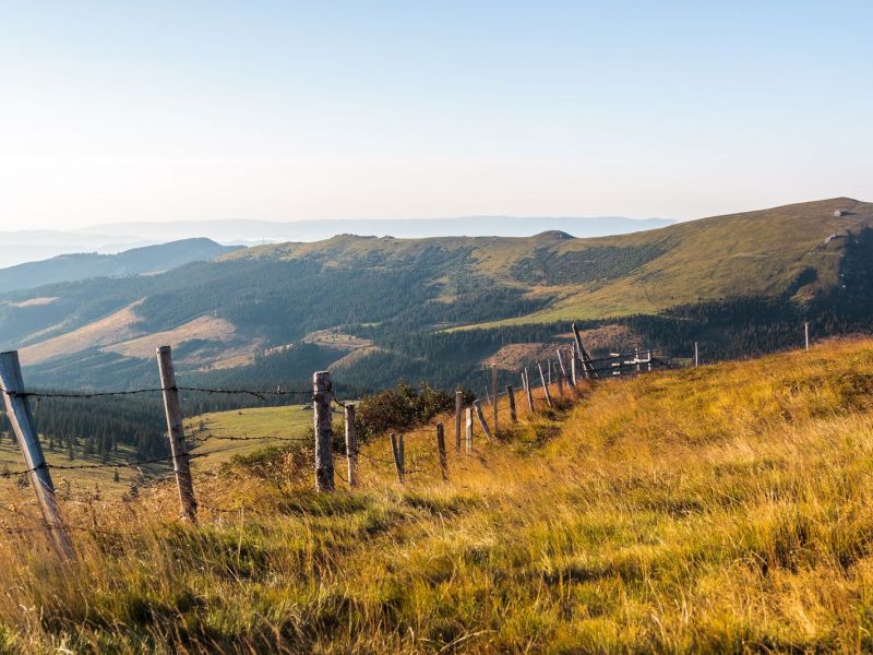 20150827 8551 verkleinert 20150827 8551 verkleinert