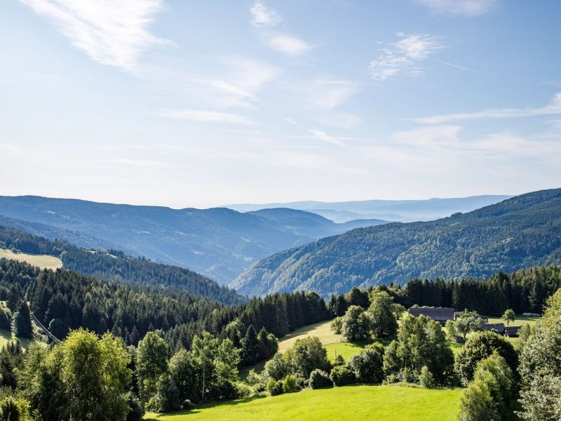 20190711 1753 verkleinert 20190711 1753 verkleinert