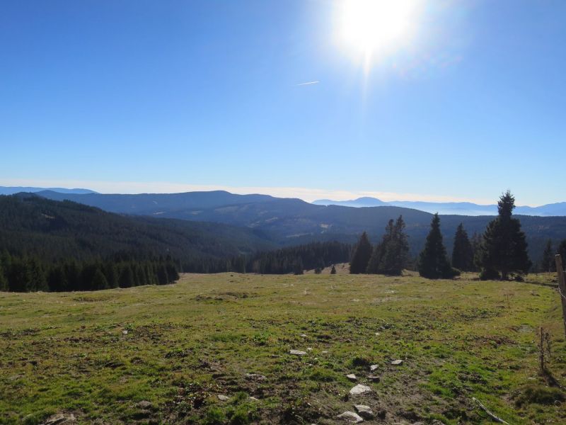 IMG 2220 verkleinert IMG 2220 verkleinert