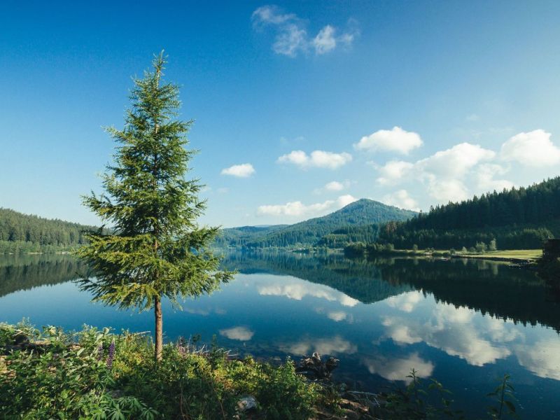 20160625 4084 ergebnis verkleinert 20160625 4084 ergebnis verkleinert