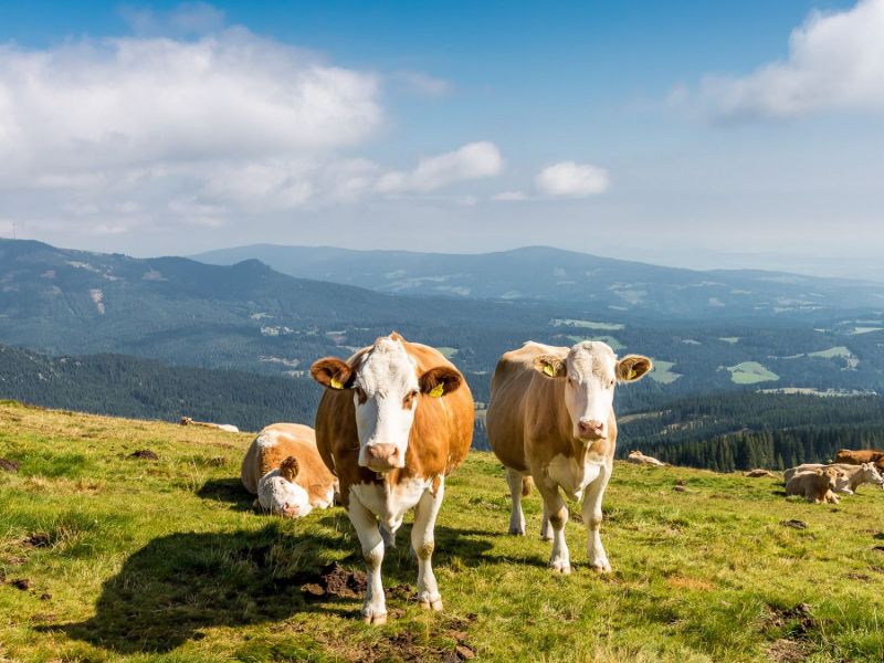 20170829 0531 verkleinert 20170829 0531 verkleinert